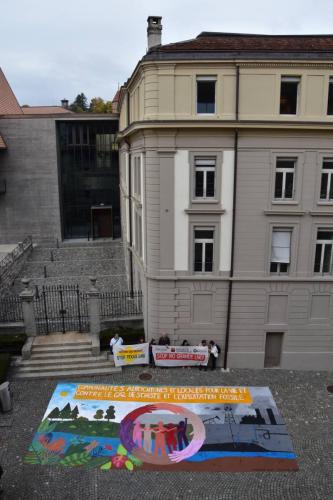 The activists in front of the Vaud parliament